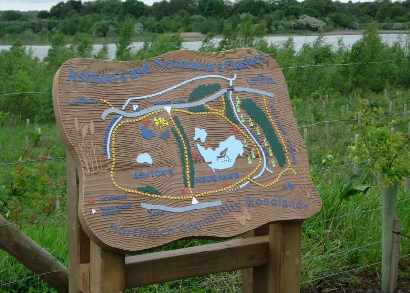 A tactile, sandblasted timber sign map spanel set in a country park. The map details, text and illustrations meet DDA requirements