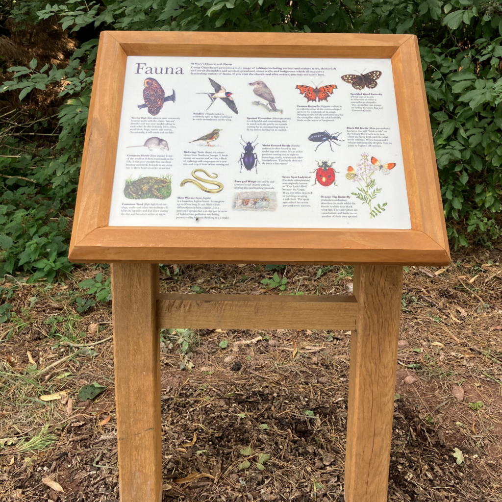 wildlife interpretation board showing local wildlife