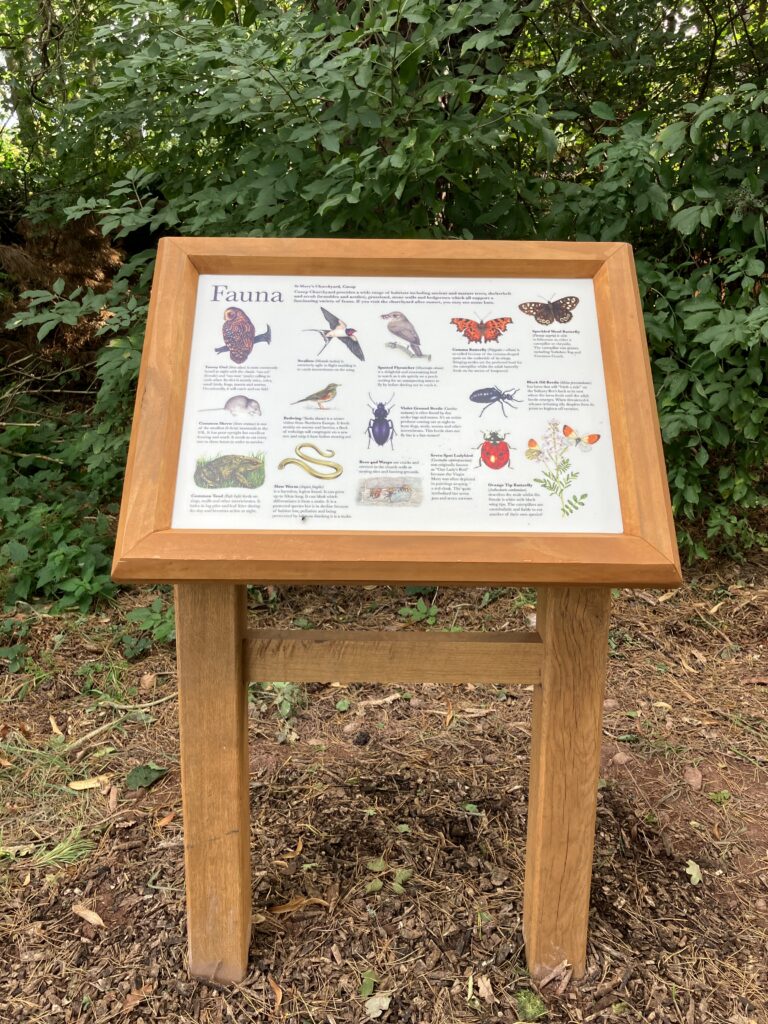 timber lectern wildlife interpretation boards 