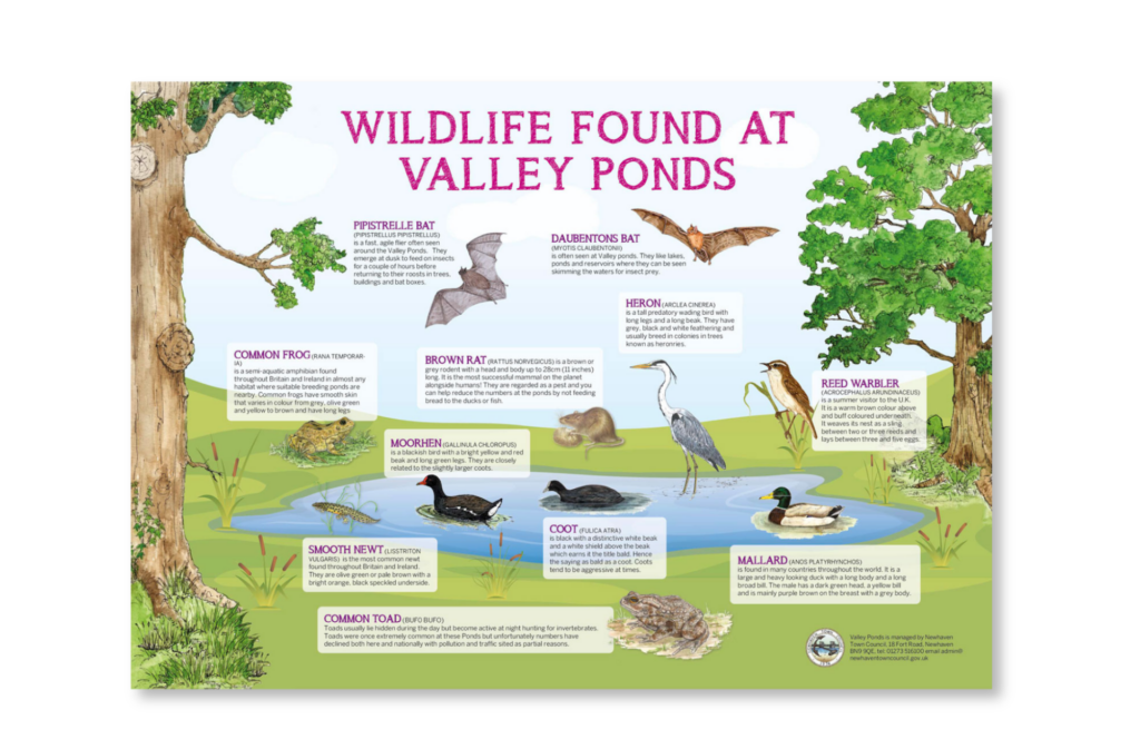an example of a wildlife interpretation sign displaying animals and birds