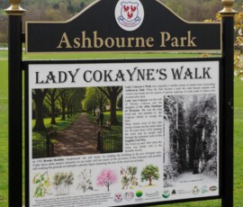 P9 interpretation board for Ashbourne Park